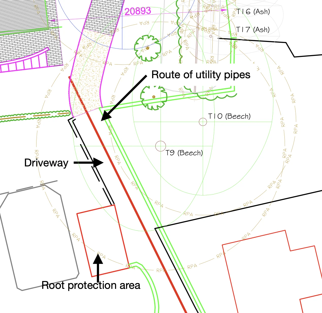 Site plan showing the route of the utility pipes along the driveway, passing through the root protection areas of two beech trees, T9 and T10