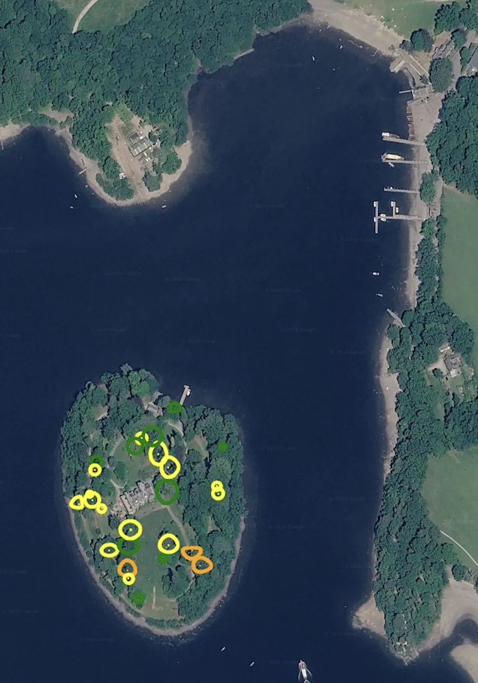 Aerial view of Derwent Isle in Derwent Water with the surveyed trees ringed in green, yellow and orange to show their risk of harm