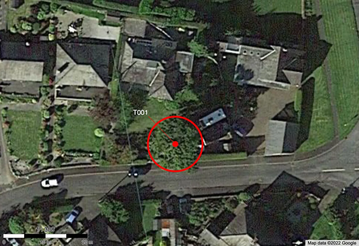 Aerial plan of a mature oak, marked T001 with a red circle, among houses and a road in Kendal