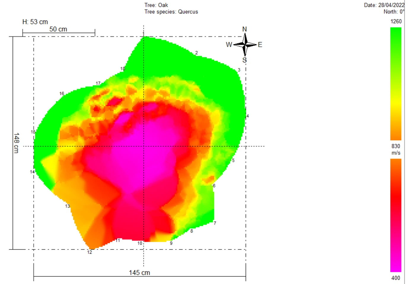 Sonic tomogram of an oak stem cross-section in colour, with green for sound wood and pink and red for decayed wood in the centre