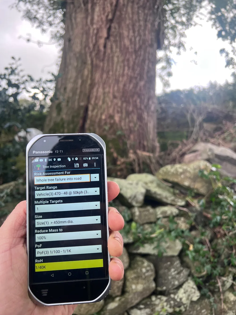 A hand holding a rugged tablet showing the QTRA tree inspection screen, in front of an ash with a crack in its stem beside a stone wall